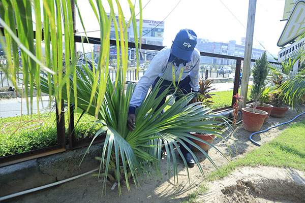 Gardening-10
