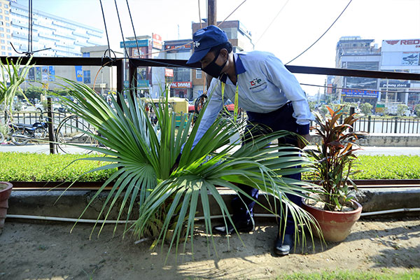 Gardening-11