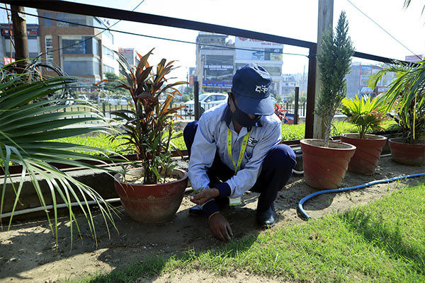 Gardening-12
