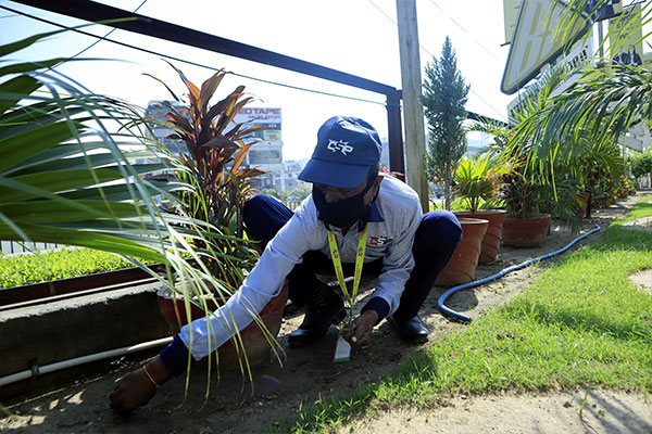 Gardening-13