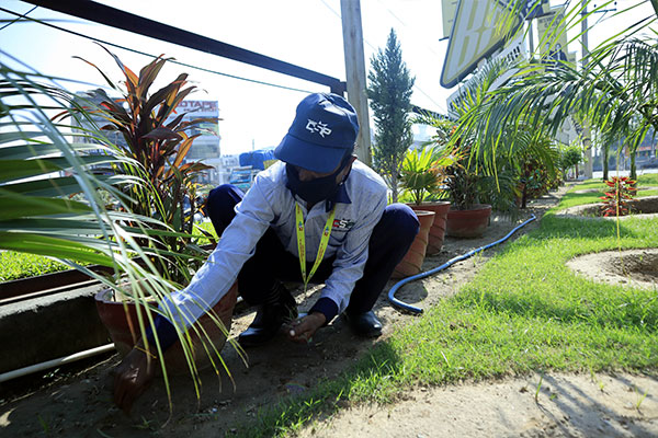Gardening-14