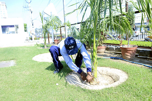 Gardening-3