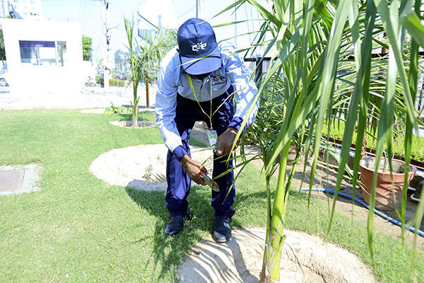 Gardening-4