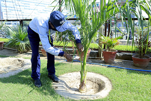Gardening-5