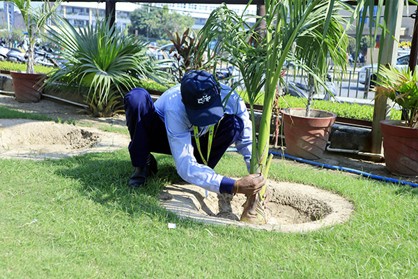 Gardening-6