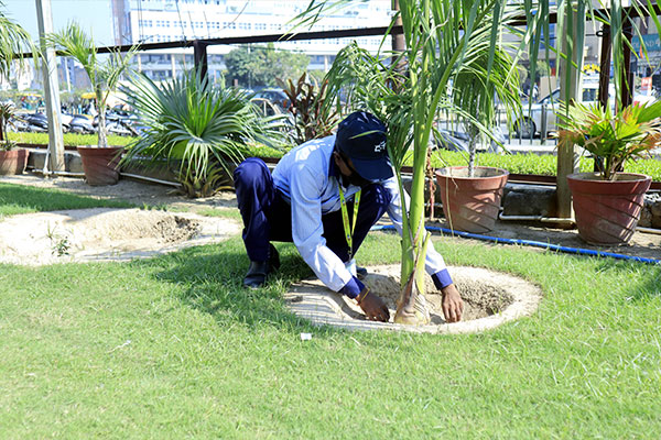 Gardening-7
