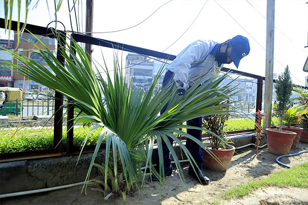 Gardening-8