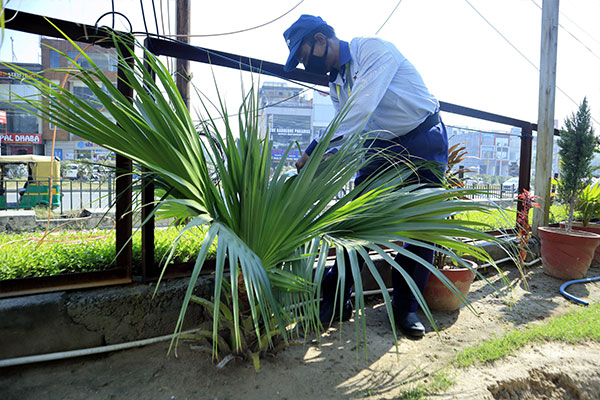 Gardening-9