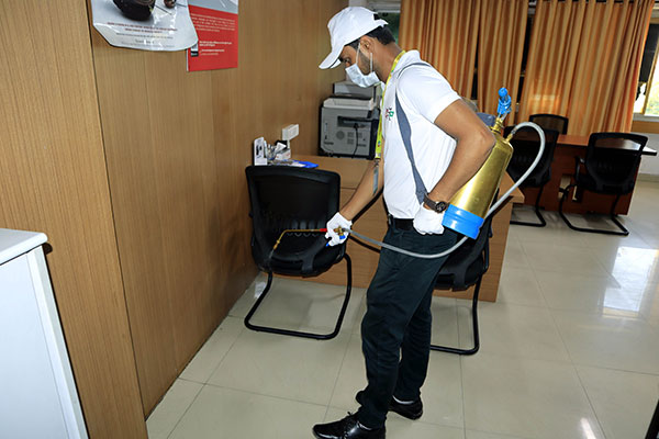 Pest-Control-11